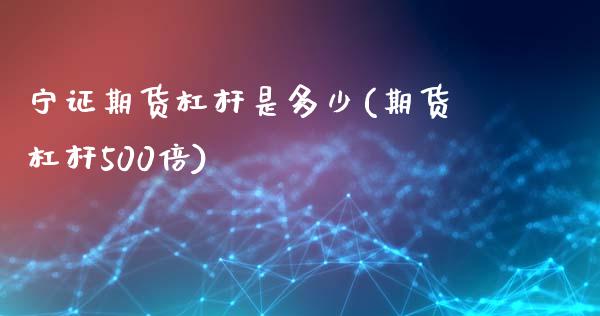 宁证期货杠杆是多少(期货杠杆500倍)_https://yy1.wpmee.com_恒指期货_第1张