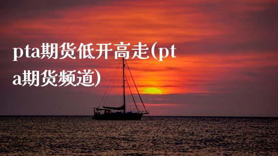 pta期货低开高走(pta期货频道)_https://hz1.wpmee.com_期货文章_第1张