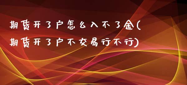 期货开了户怎么入不了金(期货开了户不交易行不行)_https://yy1.wpmee.com_股指期货_第1张