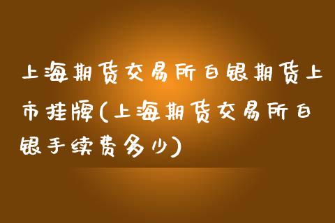 上海期货交易所白银期货上市挂牌(上海期货交易所白银手续费多少)_https://qh1.wpmee.com_期货入门_第1张